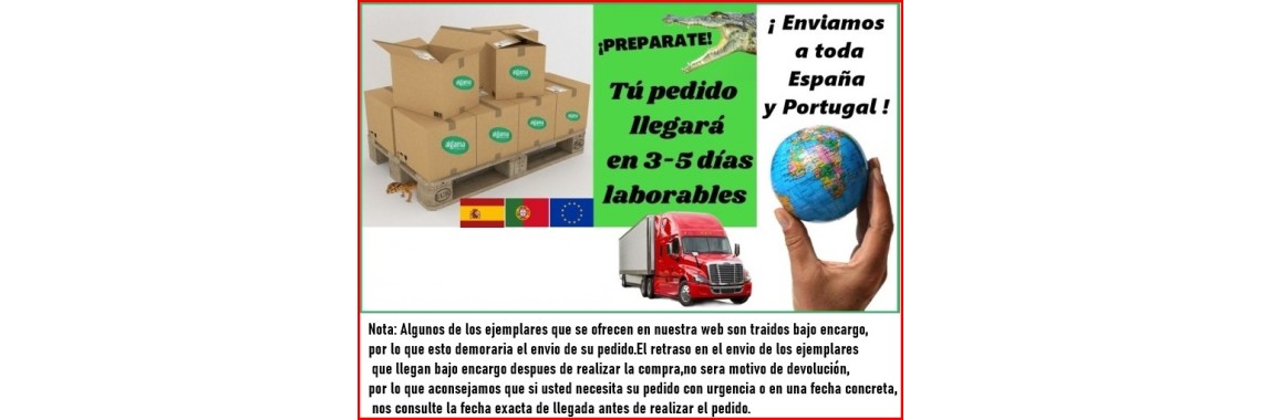 Envios